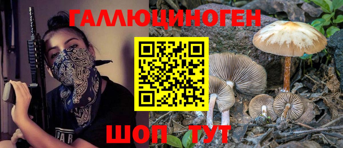 Псилоцибиновые грибы прущие грибы Пугачёв