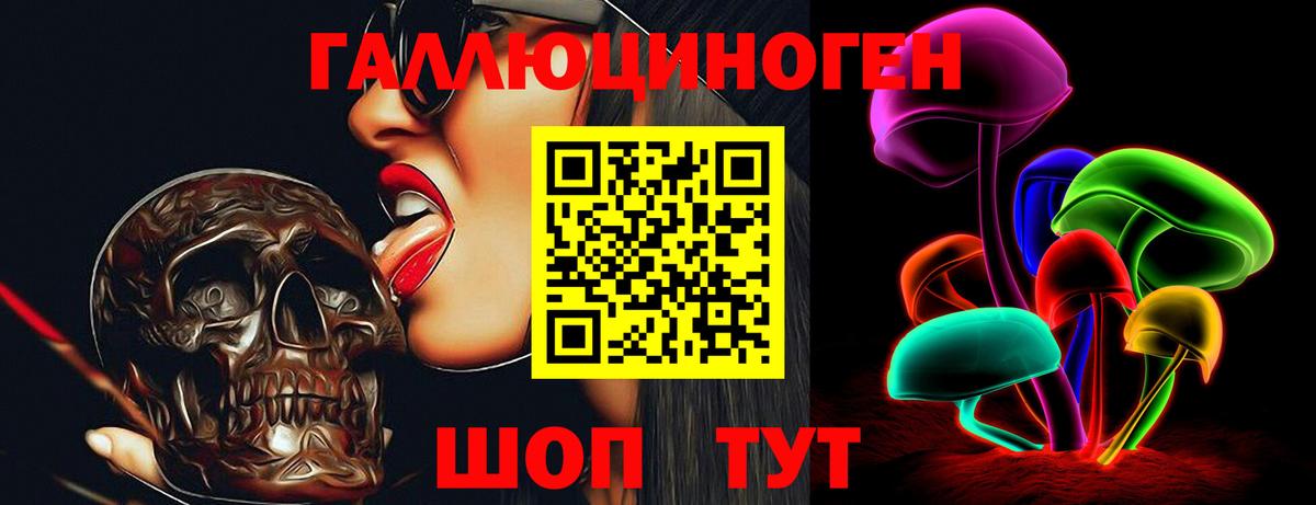 закладки  Вход с VPN  Пугачёв  Псилоцибиновые грибы прущие грибы  Псилоцибиновые грибы Cubensis 
